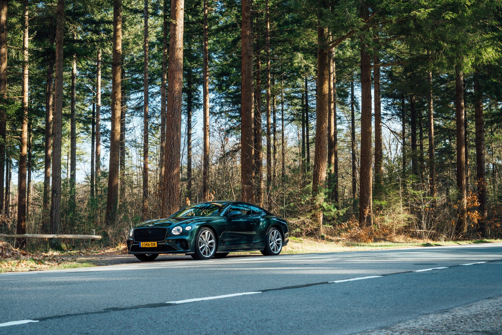 Bentley parked on side of road in a forest