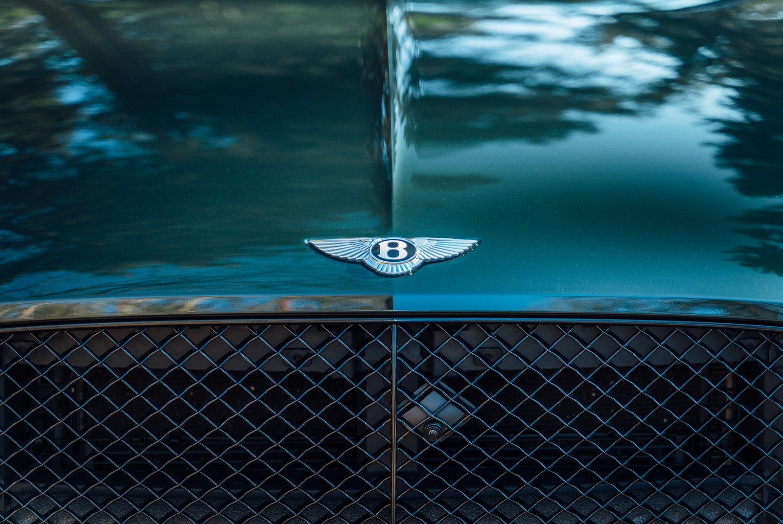 Hood and grill of a Bentley Continental GT
